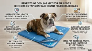 Infographic showing health benefits of cooling mat for bulldogs.