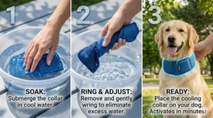 Three-step illustration showing how to soak and activate a dog cooling collar.